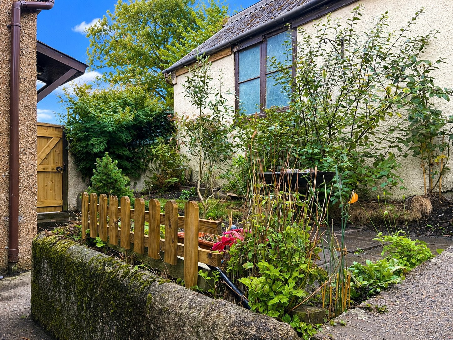 Alexandra Terrace, Launceston, Cornwall, PL15, photo 3