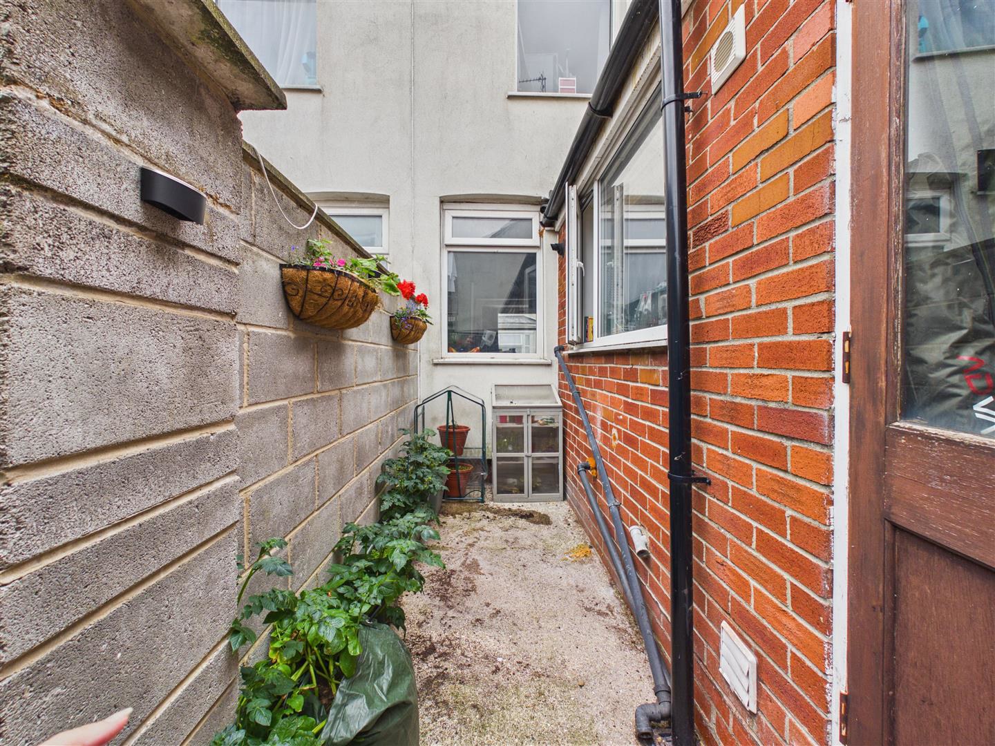 Athletic Grove, Gordon Street, Hull, photo 7