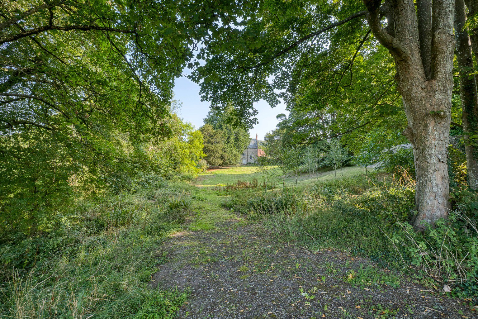 Manor house with 7 acres, near Wells, photo 39