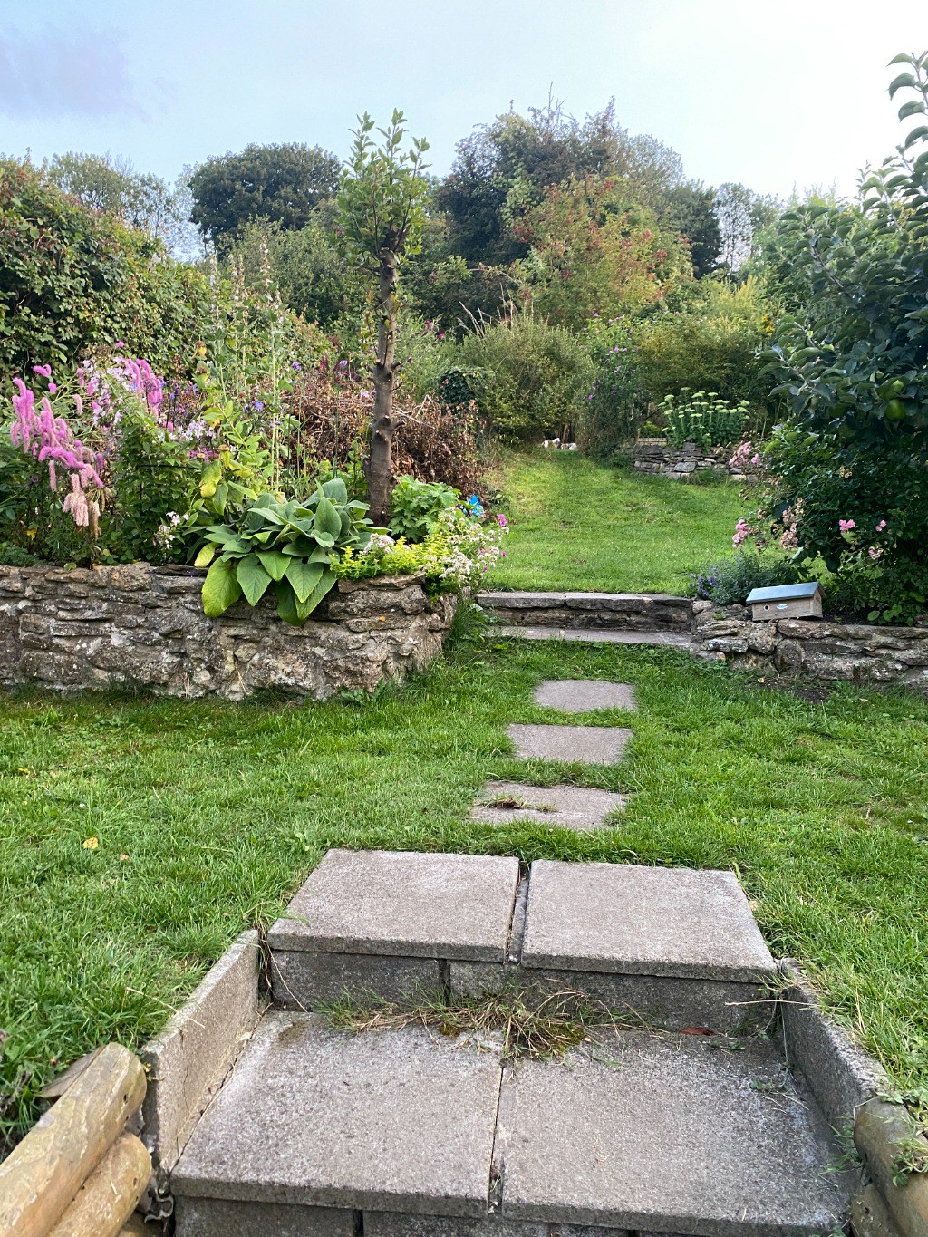 Lusty Gardens, Bruton, photo 25