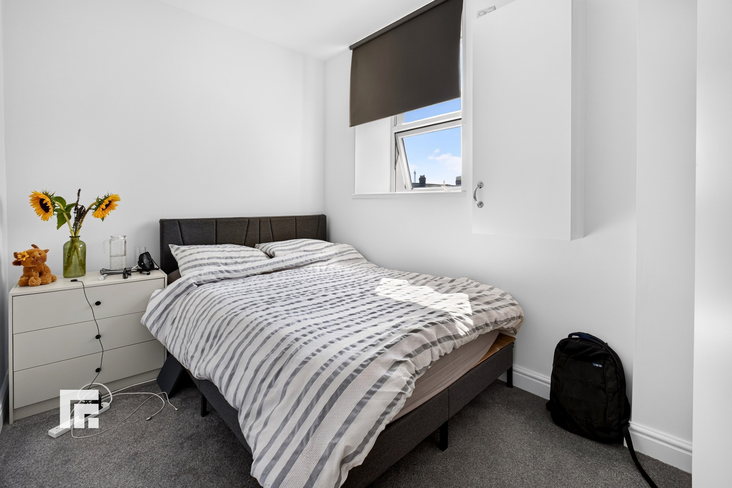 Cowbridge Road East, Cardiff, CF11, photo 3