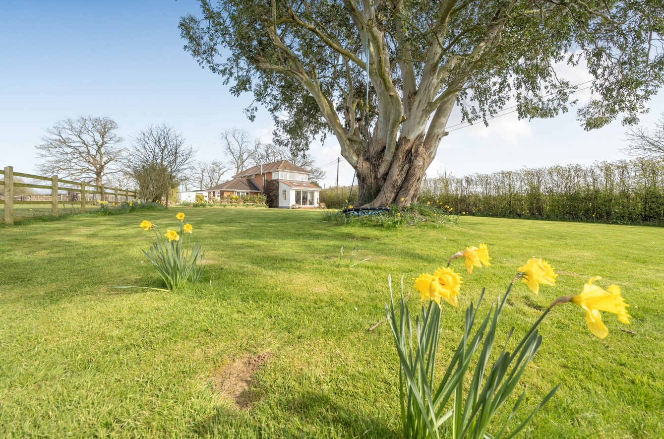 Oake Green, Oake, Taunton, Somerset, TA4, photo 42