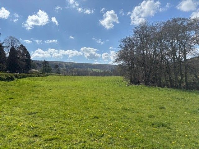 10 Acres approx of Grassland with Fishing Rights at Fangdale Beck
