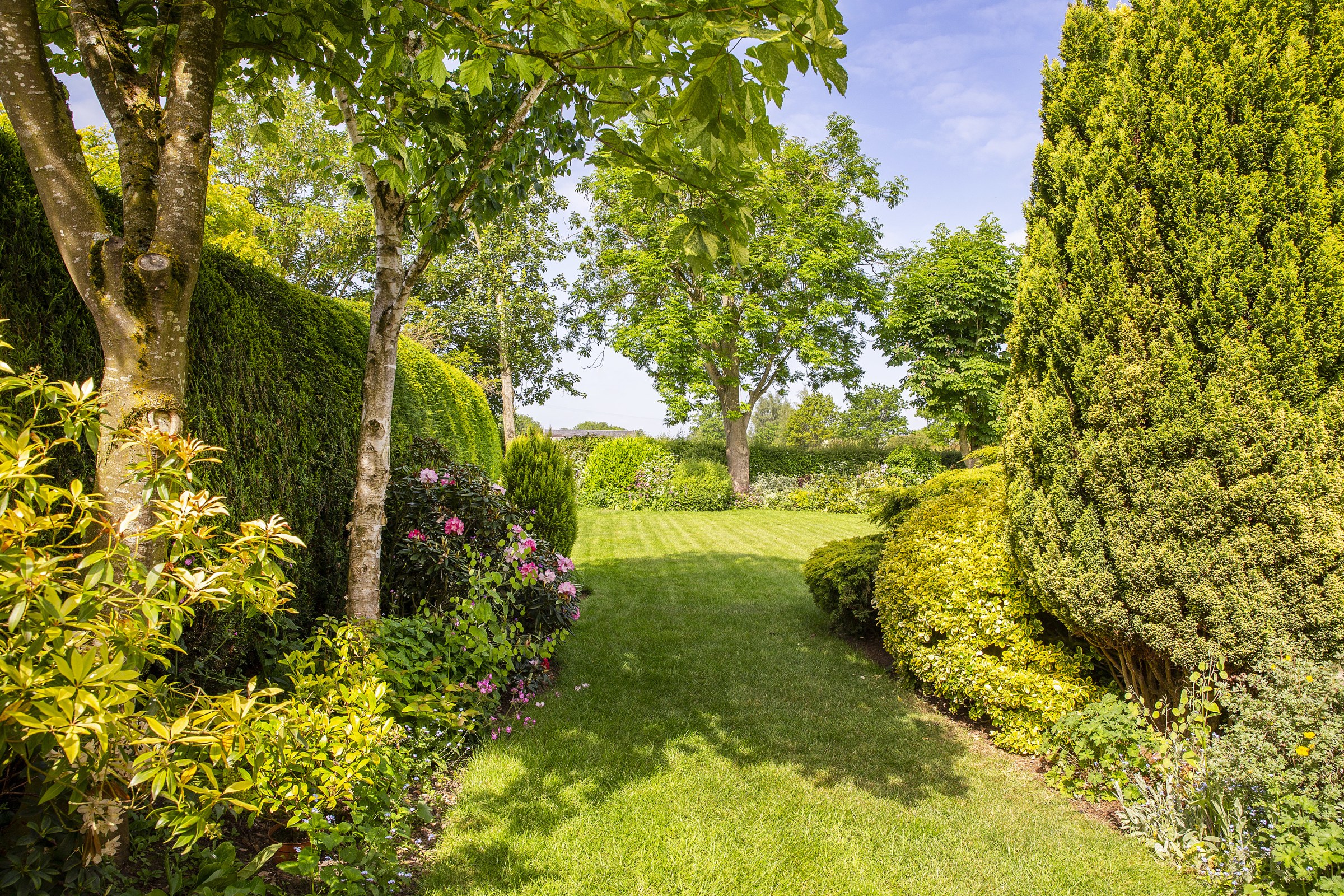Swanley Lane, Burland, CW5, photo 17