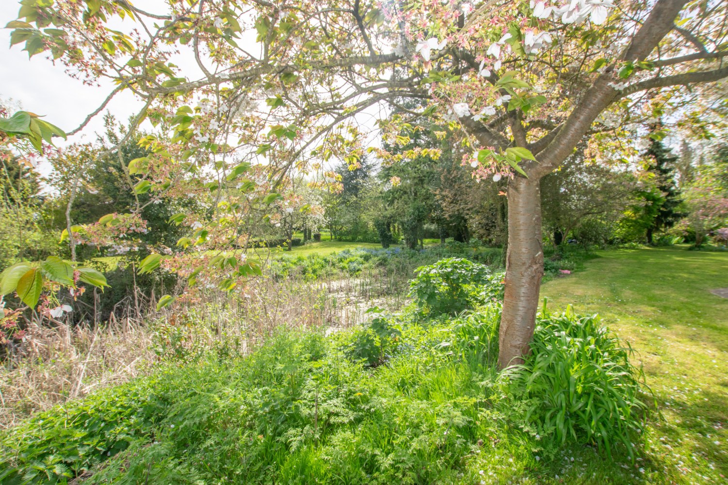 Barrow Hall Farmhouse, Barrow Hall Road, Little Wakering, Southend-on-Sea, Essex, SS3 0QP, photo 15