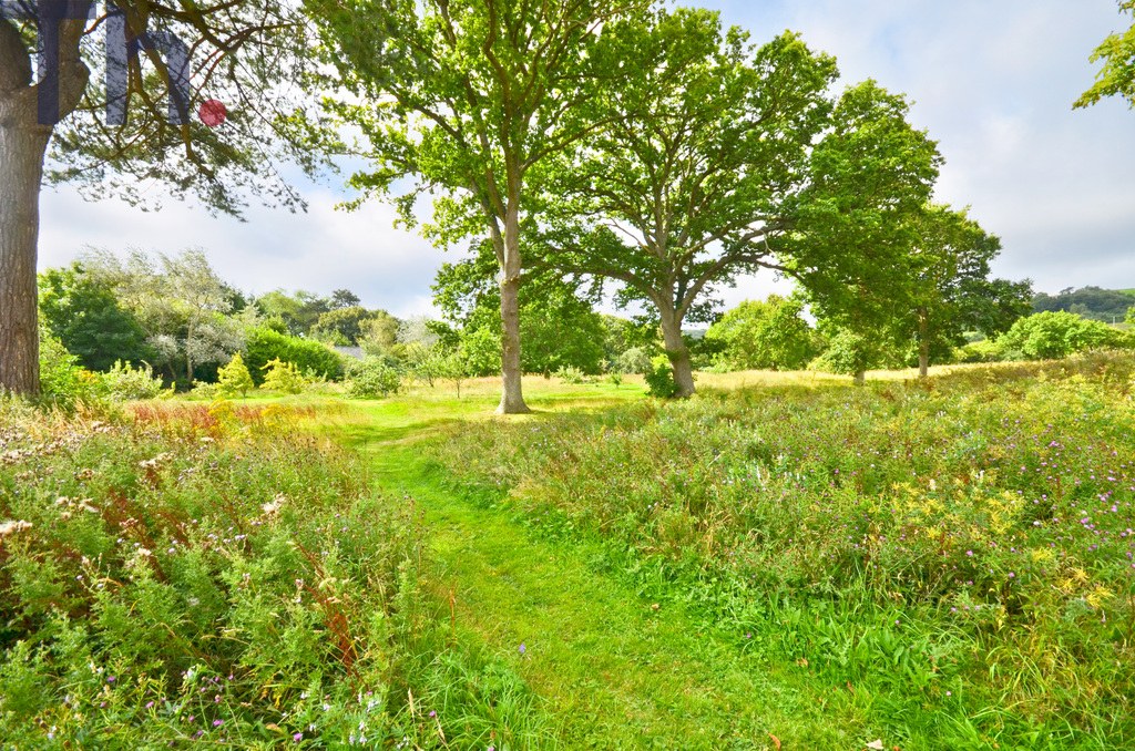 Newport, Isle Of Wight, photo 4