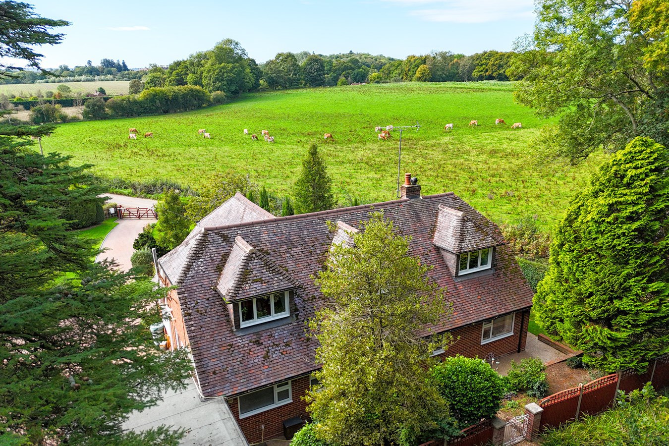Bunny Lane, Sherfield English, Romsey, SO51, photo 27