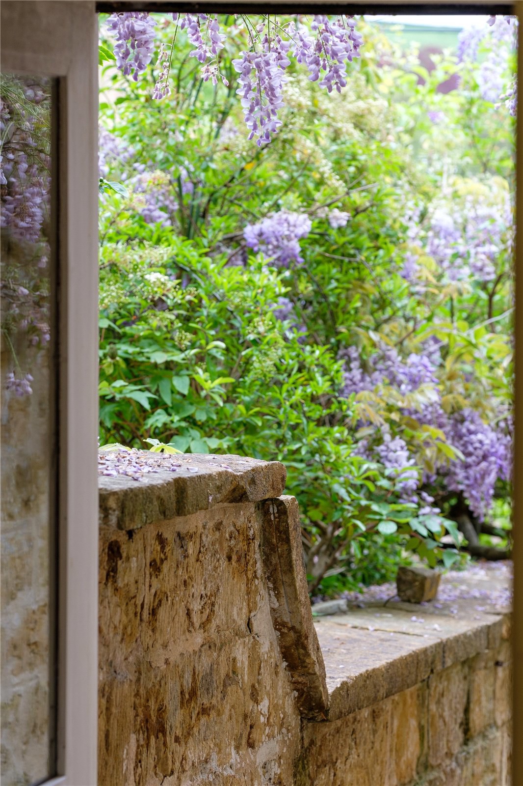 West Milton, Bridport, Dorset, DT6, photo 28
