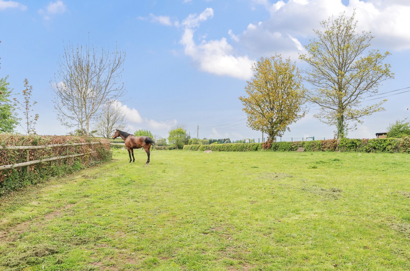 Over Stowey, Bridgwater, Somerset, TA5, photo 4