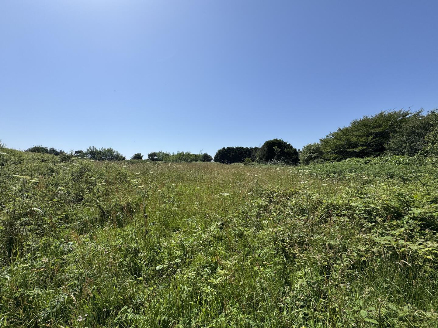 Busveal, Redruth, photo 30