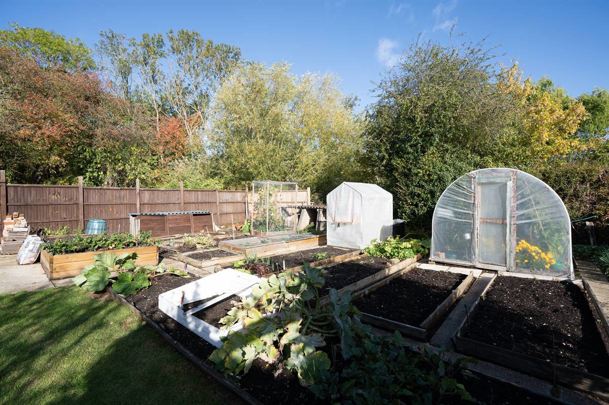 Dargate Road, Yorkletts, Whitstable, photo 23