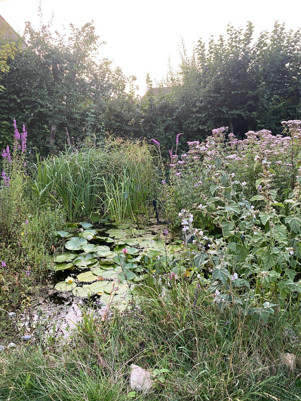 Lusty Gardens, Bruton, photo 23