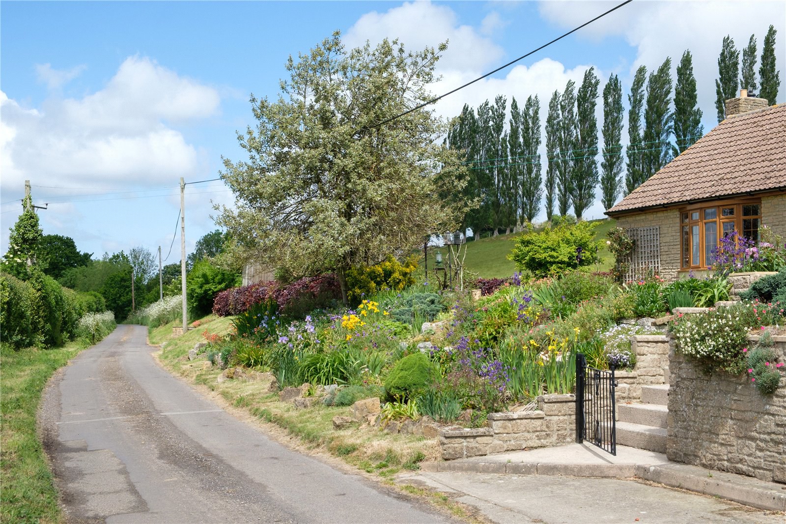 Mill Lane, Dowlish Wake, Ilminster, Somerset, TA19, photo 53