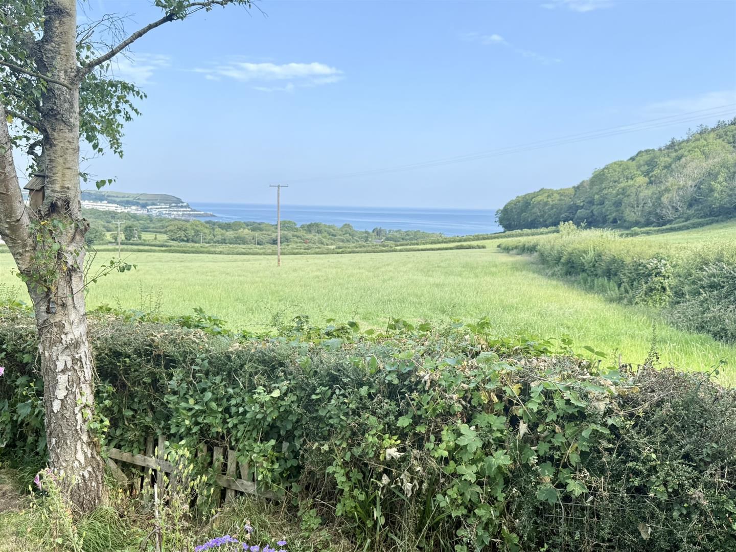Nr. New Quay, Llanarth, photo 30