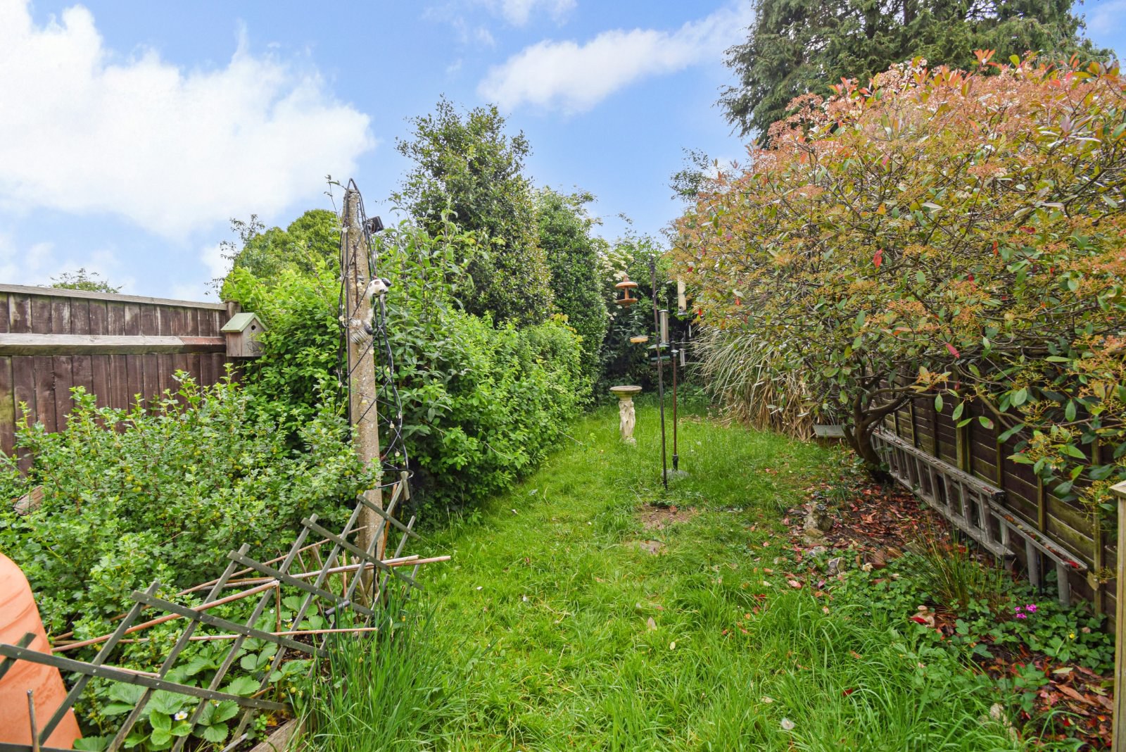 Photo 4