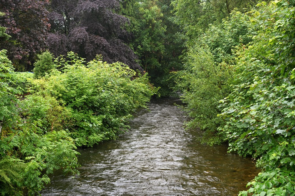 Photo 27