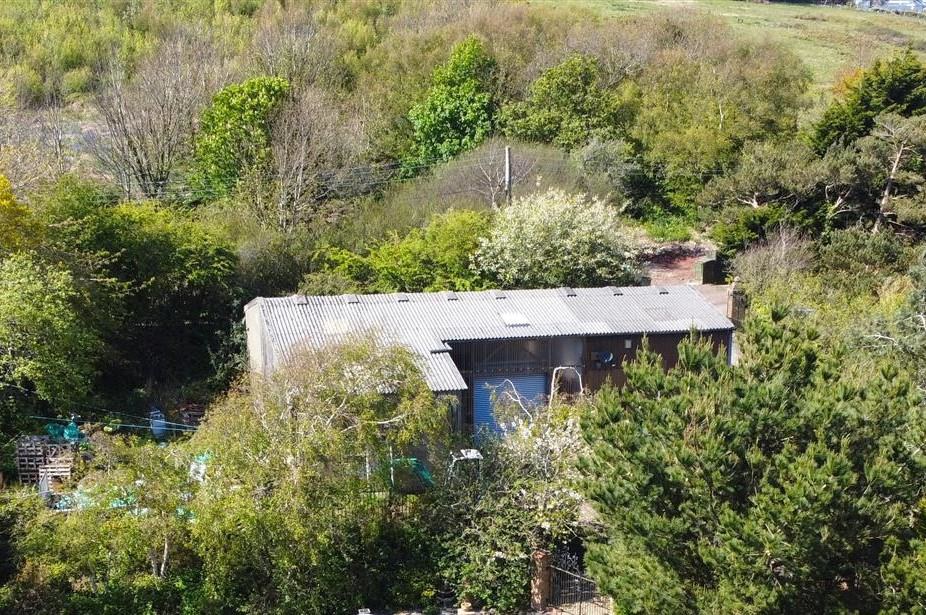 Warren Road, Fairlight