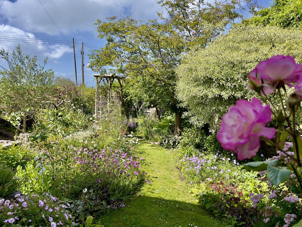 Byways, West Porlock, photo 12