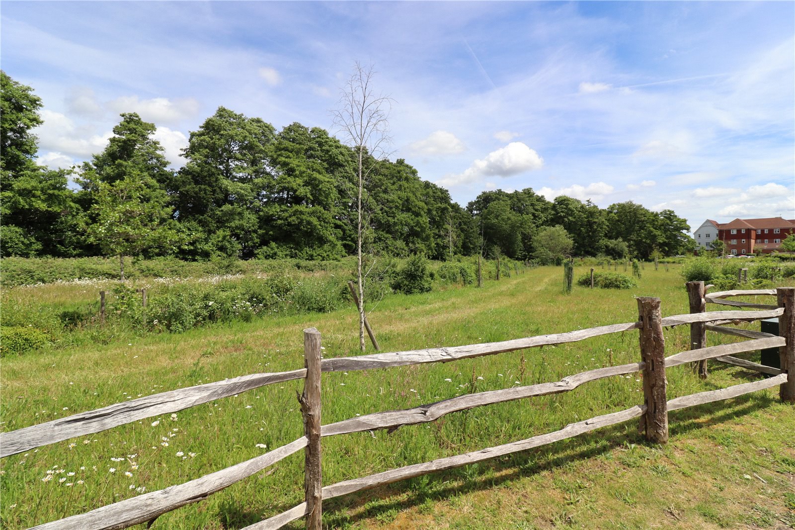 Mulberry Walk, Fleet, Hampshire, GU51, photo 15