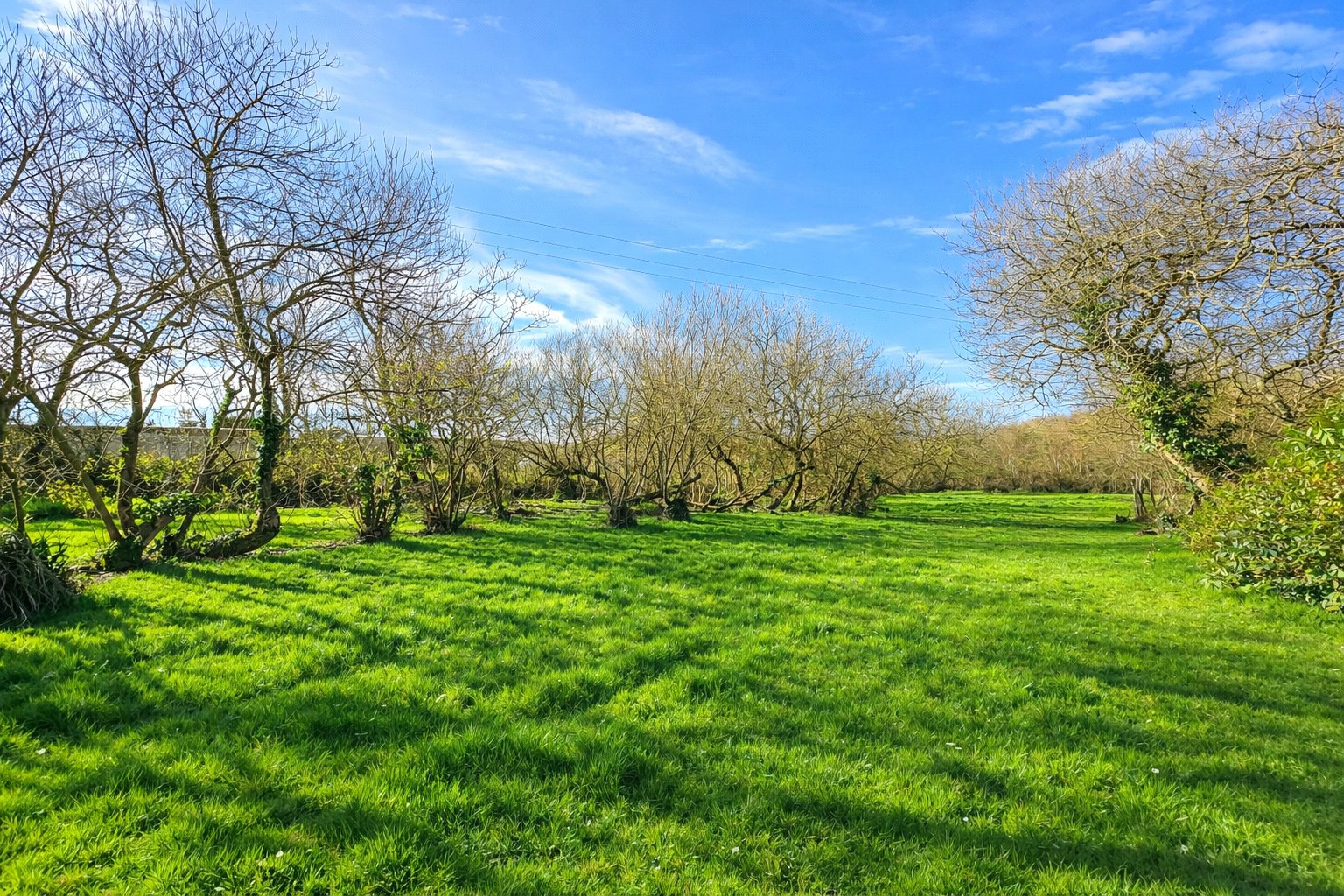 Vicarage Lane, Poundstock, Bude, Cornwall, EX23, photo 6