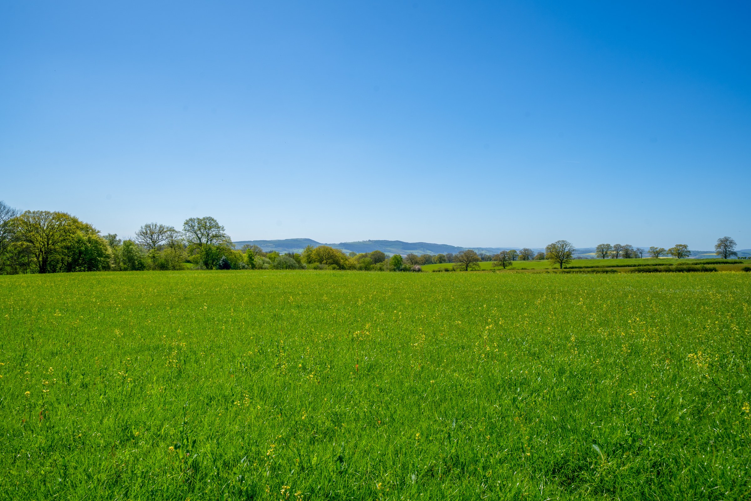 Haytons Bent, Ludlow, SY8, photo 25