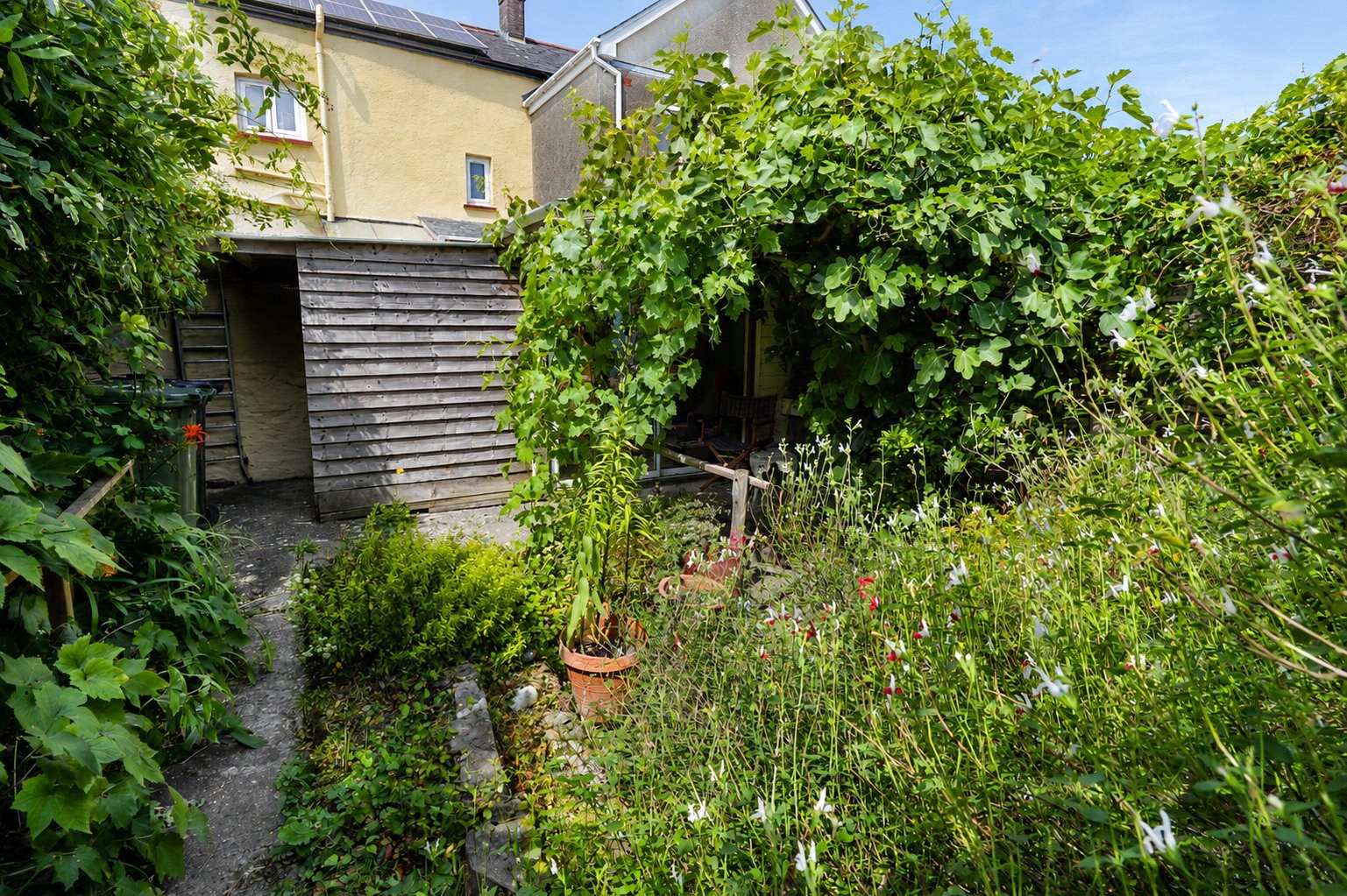 Photo 17