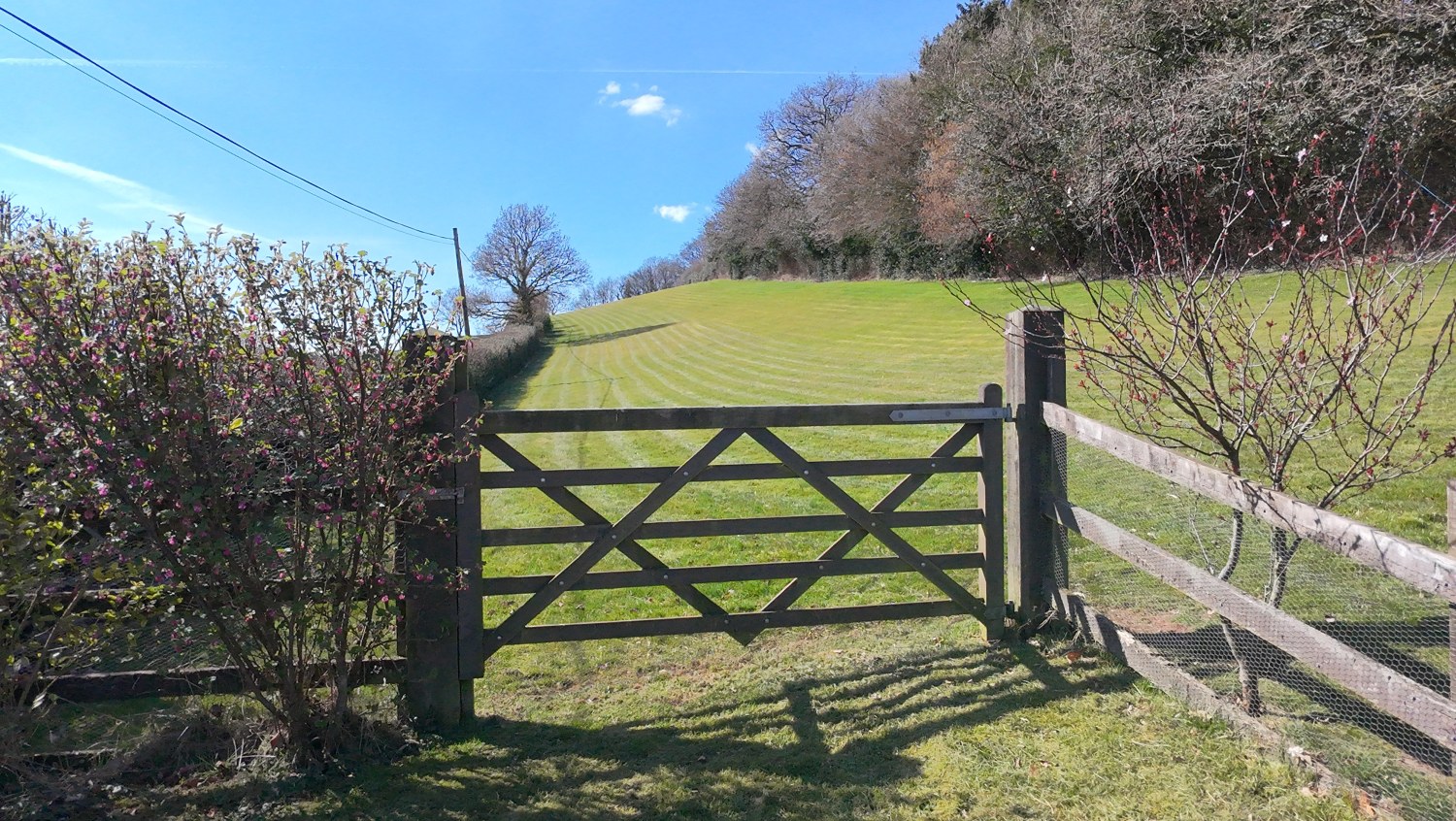 , Ash Mill, South Molton, Devon, EX36, photo 2