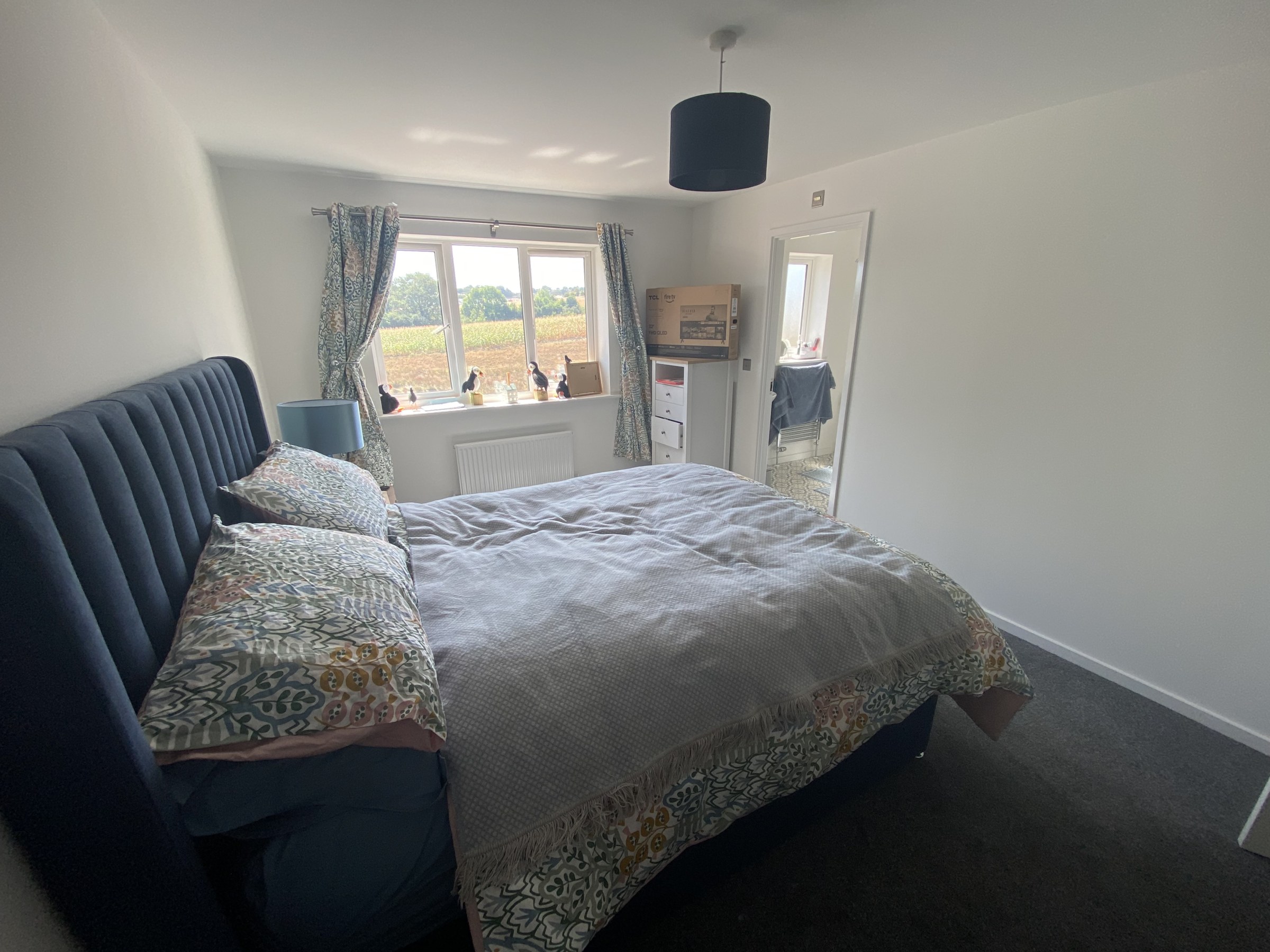 Scoter Court, Dawlish, EX7, photo 9