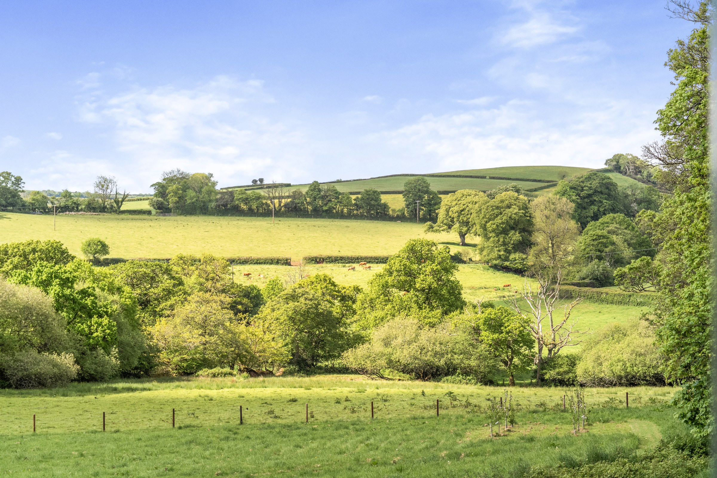 Harbertonford, Totnes, TQ9, photo 32