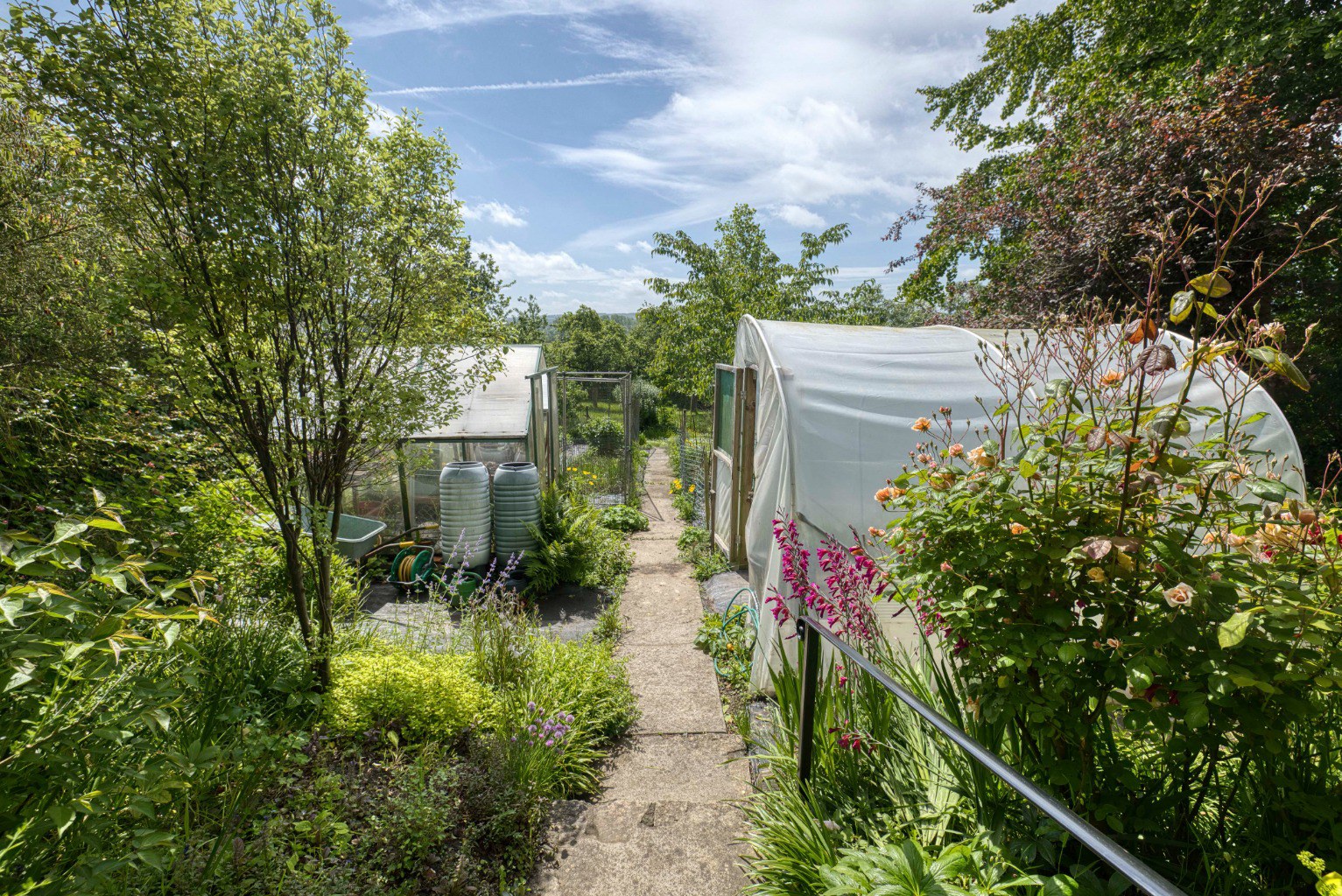 The Roman Way - with stunning garden, orchard and woodland in Glastonbury, photo 28