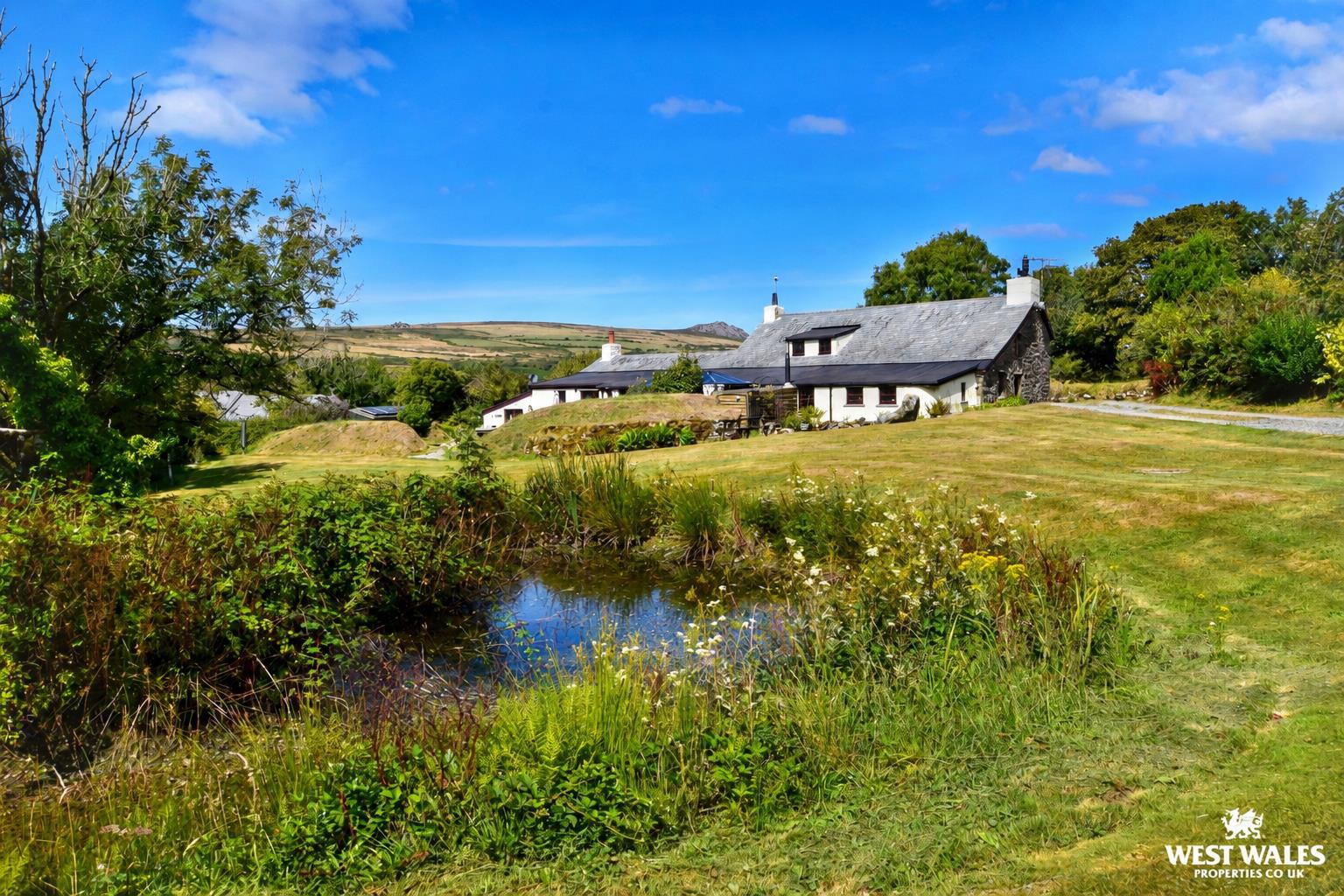 Gwaun Valley, Fishguard, photo 56
