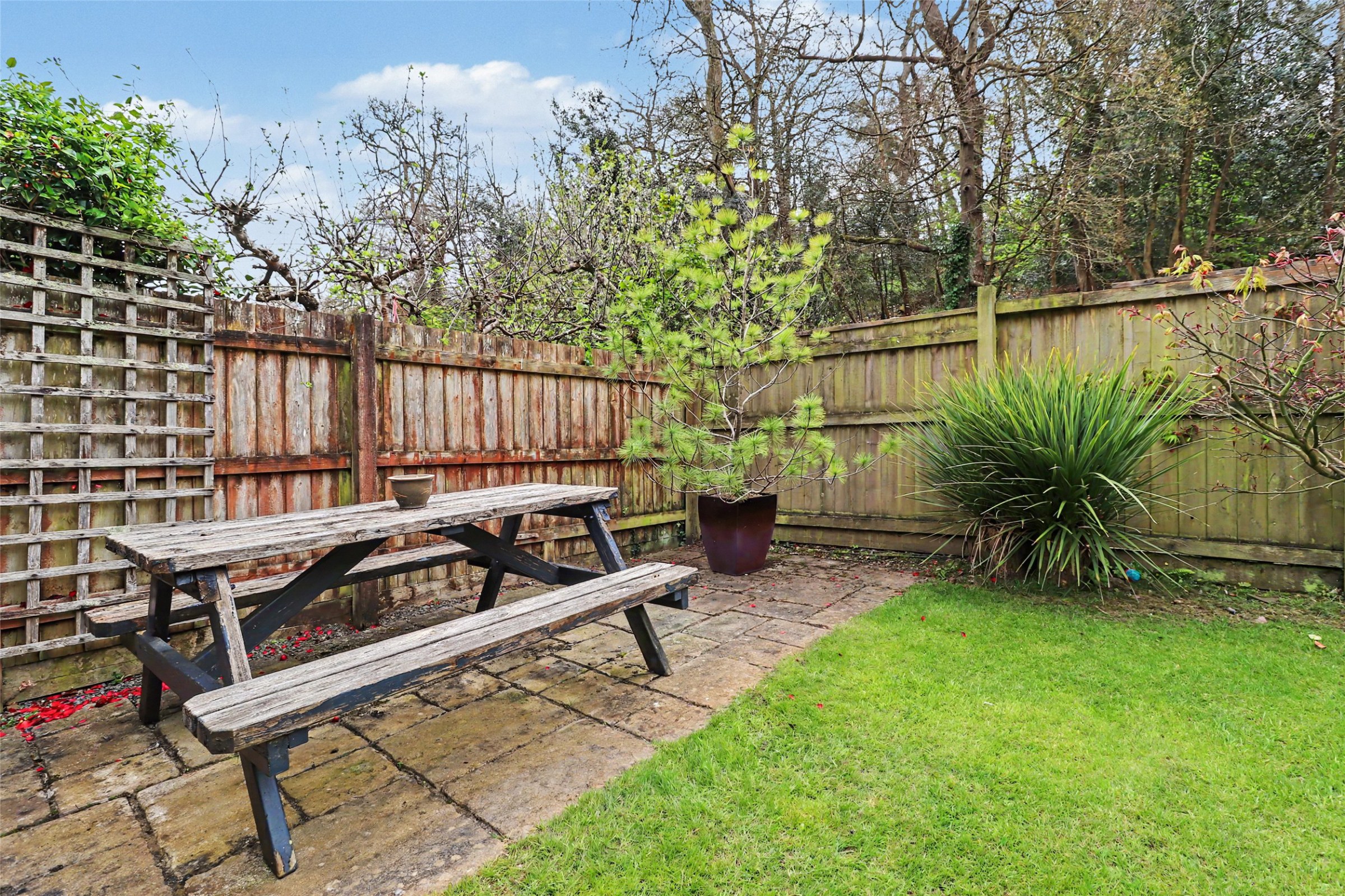 Rowe Close, Bideford, EX39, photo 25