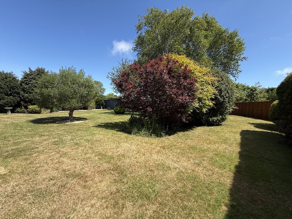 Photo 30