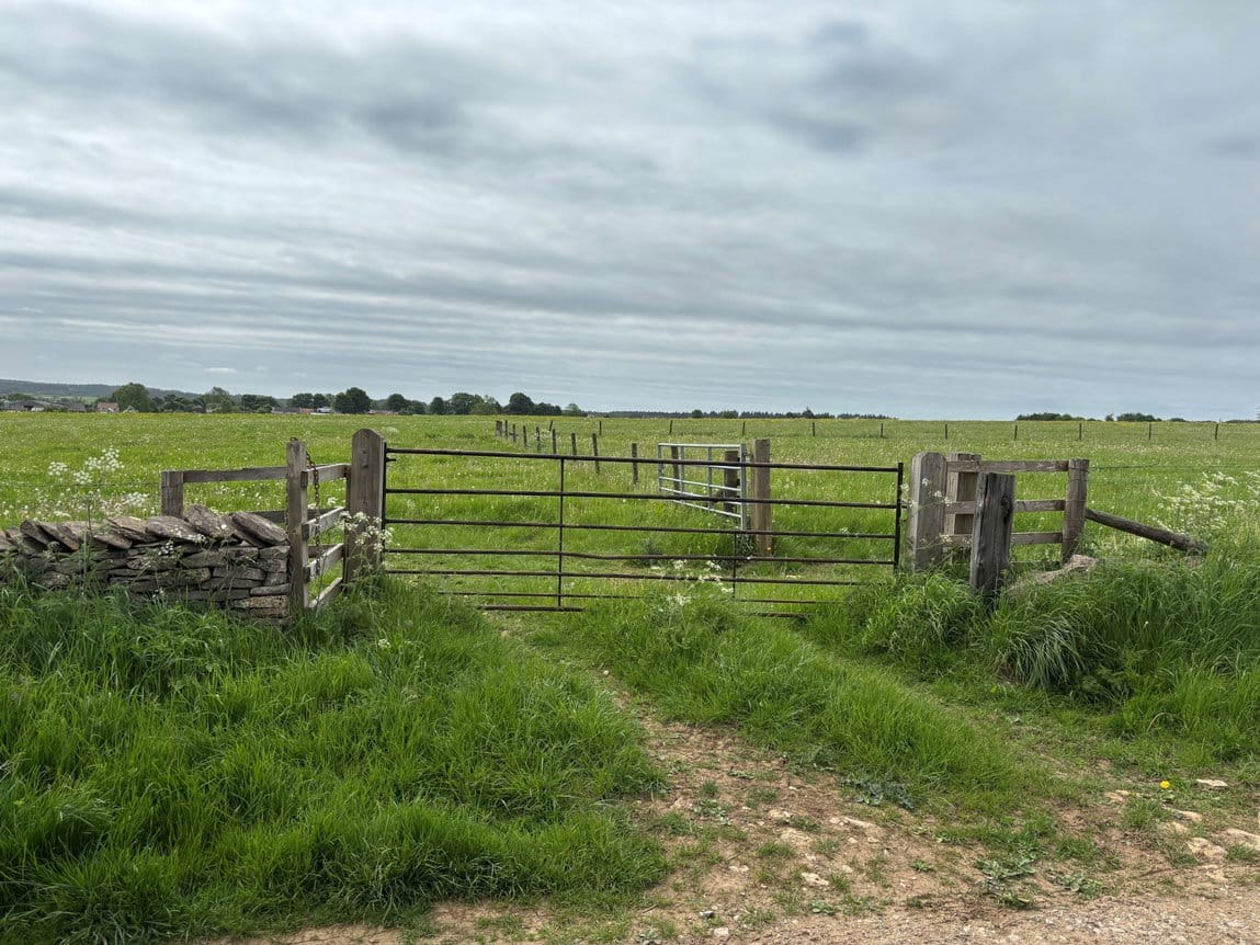 8.87 Acres of Permanent Grassland