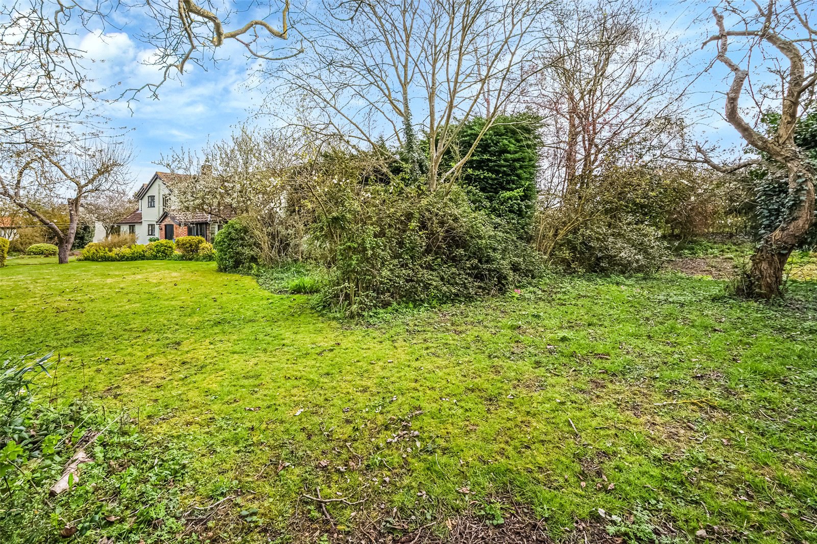Cocks Green Lane, Great Whelnetham, Bury St Edmunds, Suffolk, IP30, photo 25