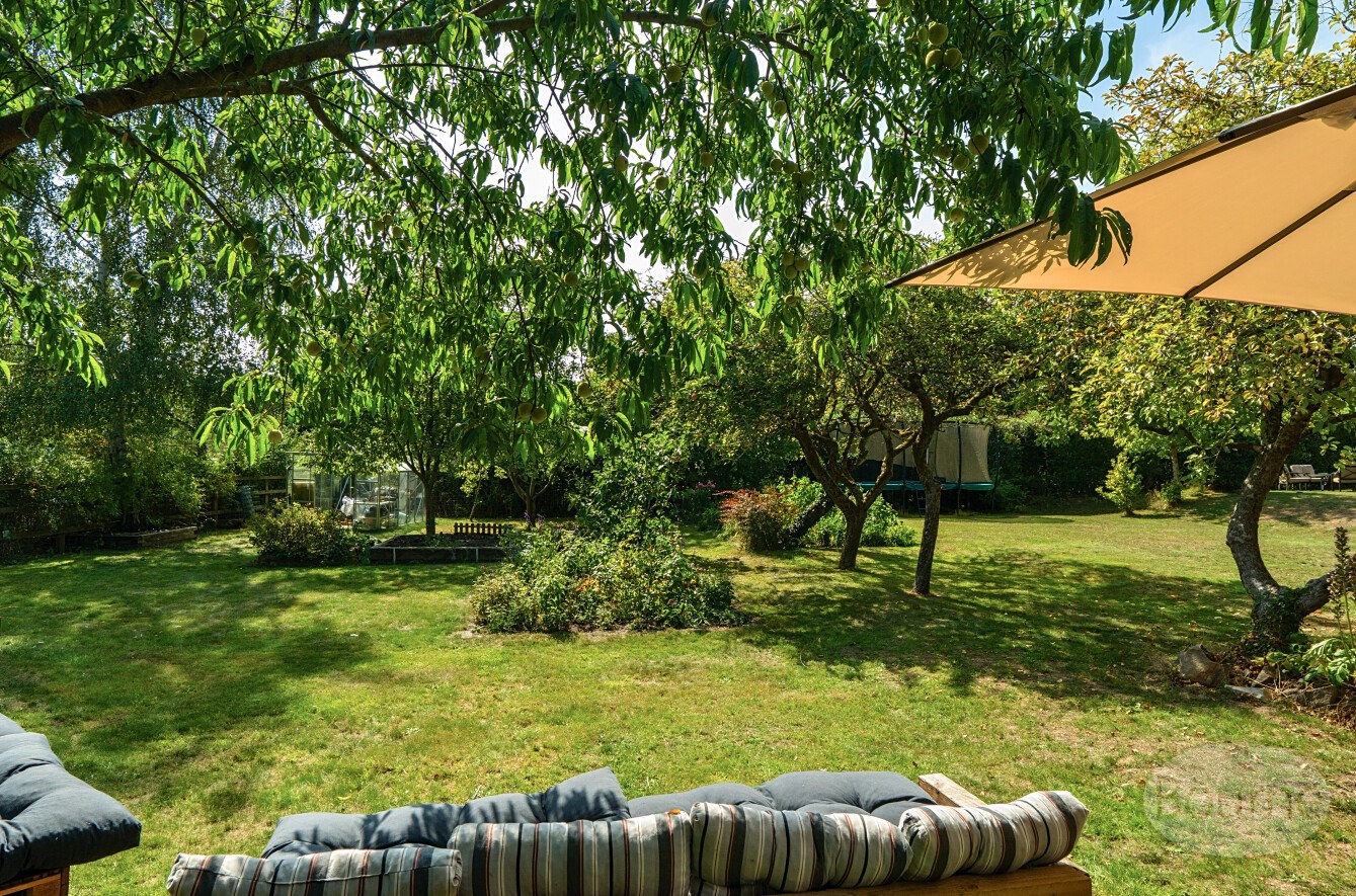 Forge Road, Kingsley, Hampshire, GU35, photo 19