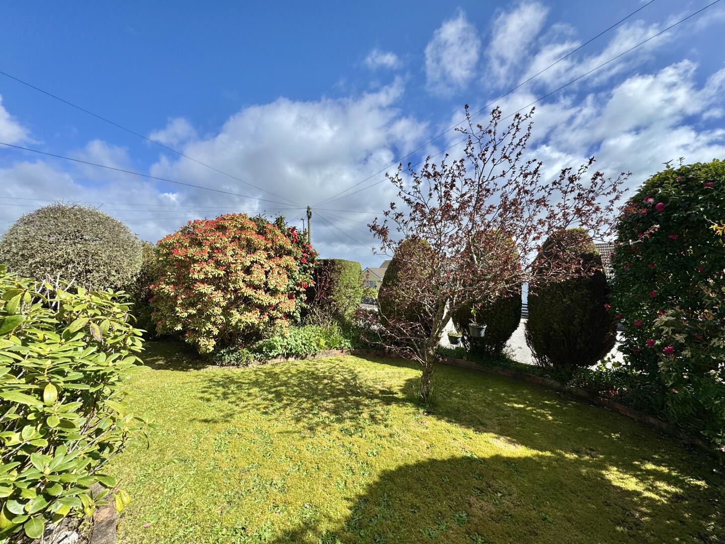 Kerley Grove, Truro, photo 5
