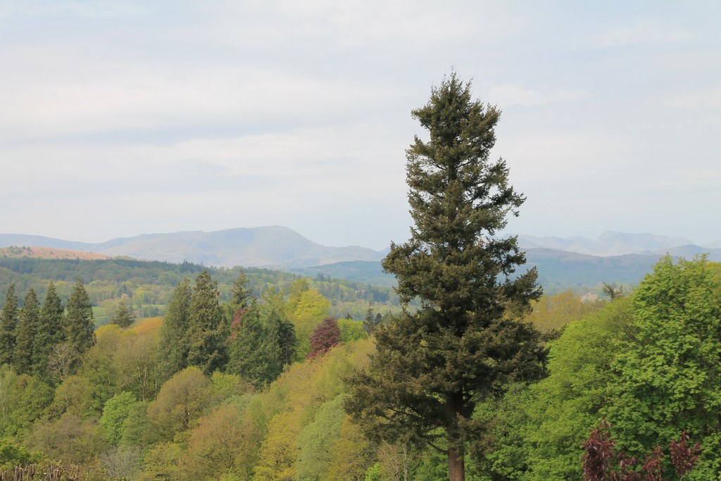 Priory Manor, Rayrigg Road, photo 4