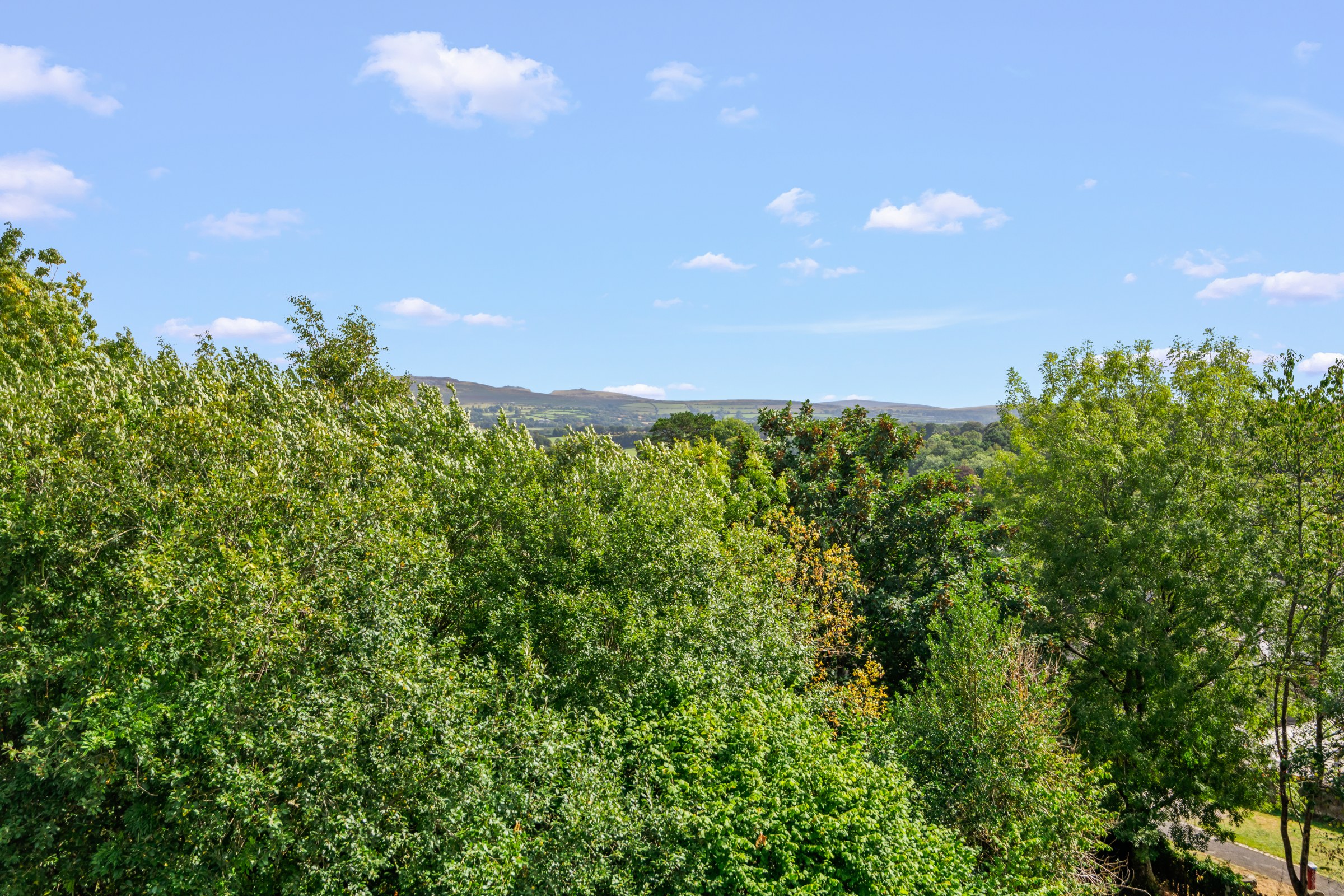 Glanville Road, Tavistock, PL19, photo 36