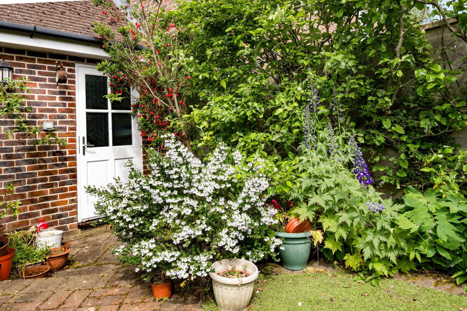 Allington Place, Newick, Lewes, East Sussex, BN8, photo 15