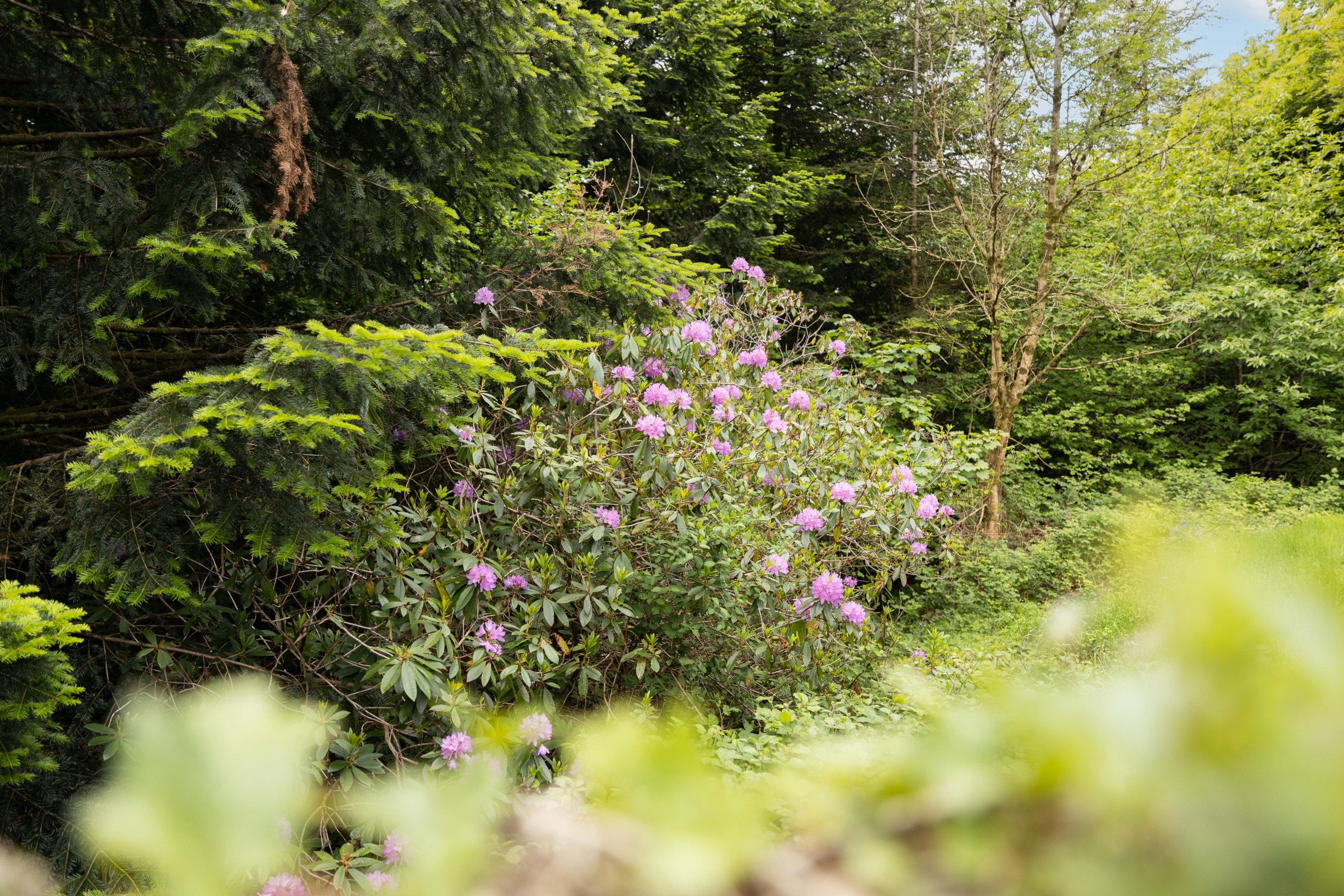 Tavistock, PL19, photo 42