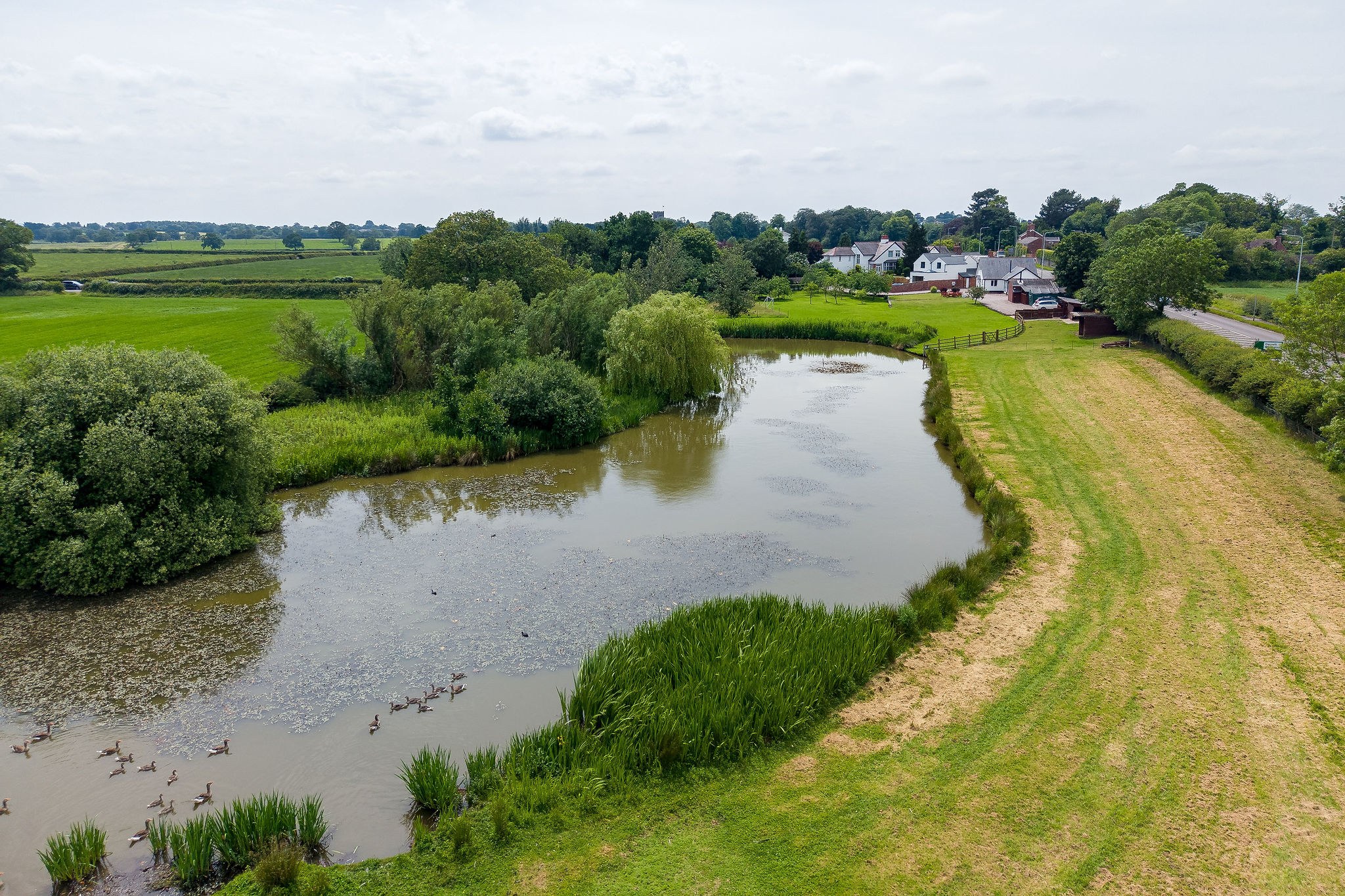 Shay Lane, Tarvin, CH3, photo 31