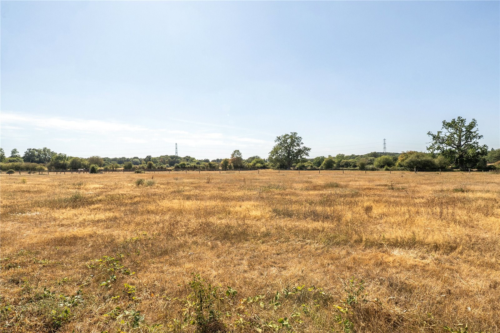 The Hurst, Winchfield, Hook, Hampshire, RG27, photo 16