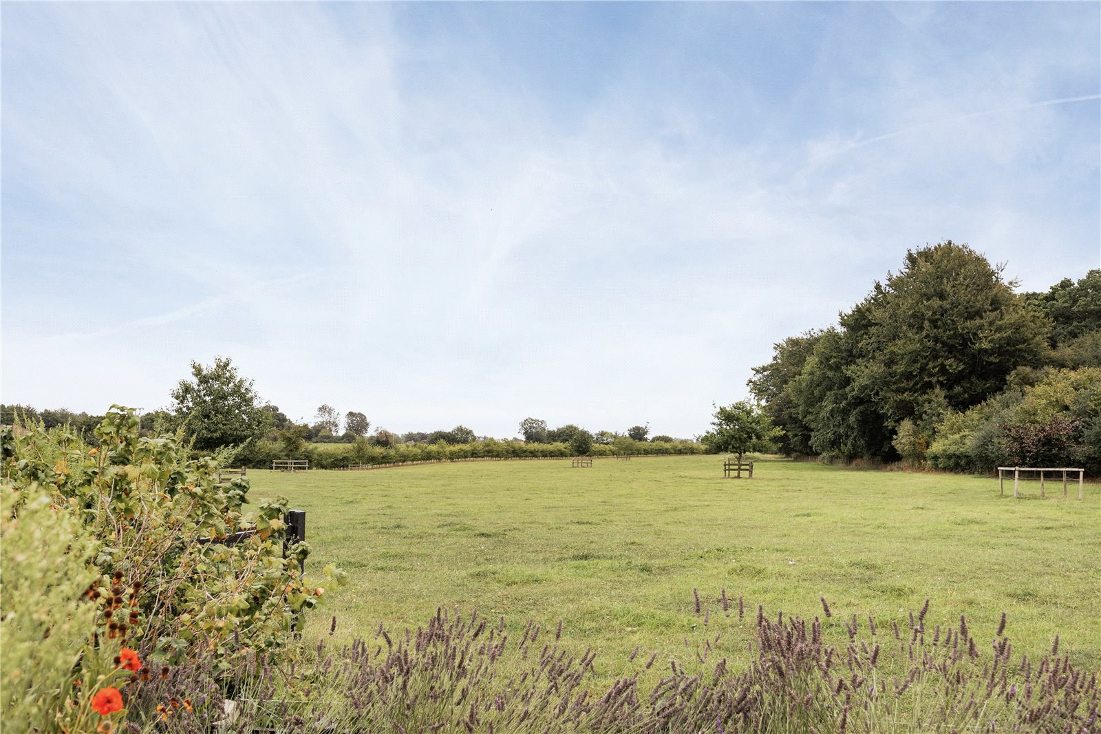 Brandiston Road, Cawston, Norfolk, NR10, photo 3