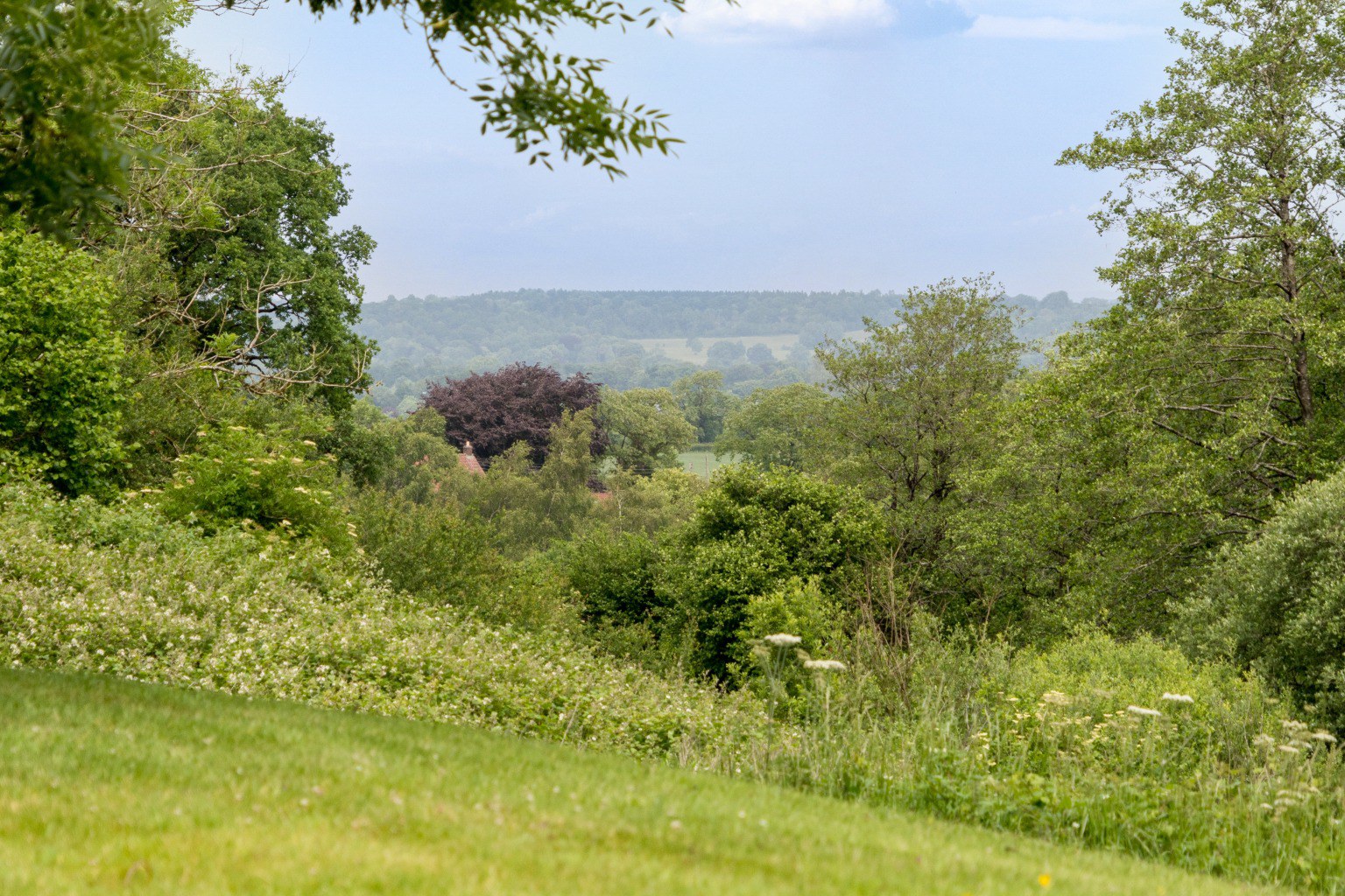Tadhill, Leigh Upon Mendip, photo 27