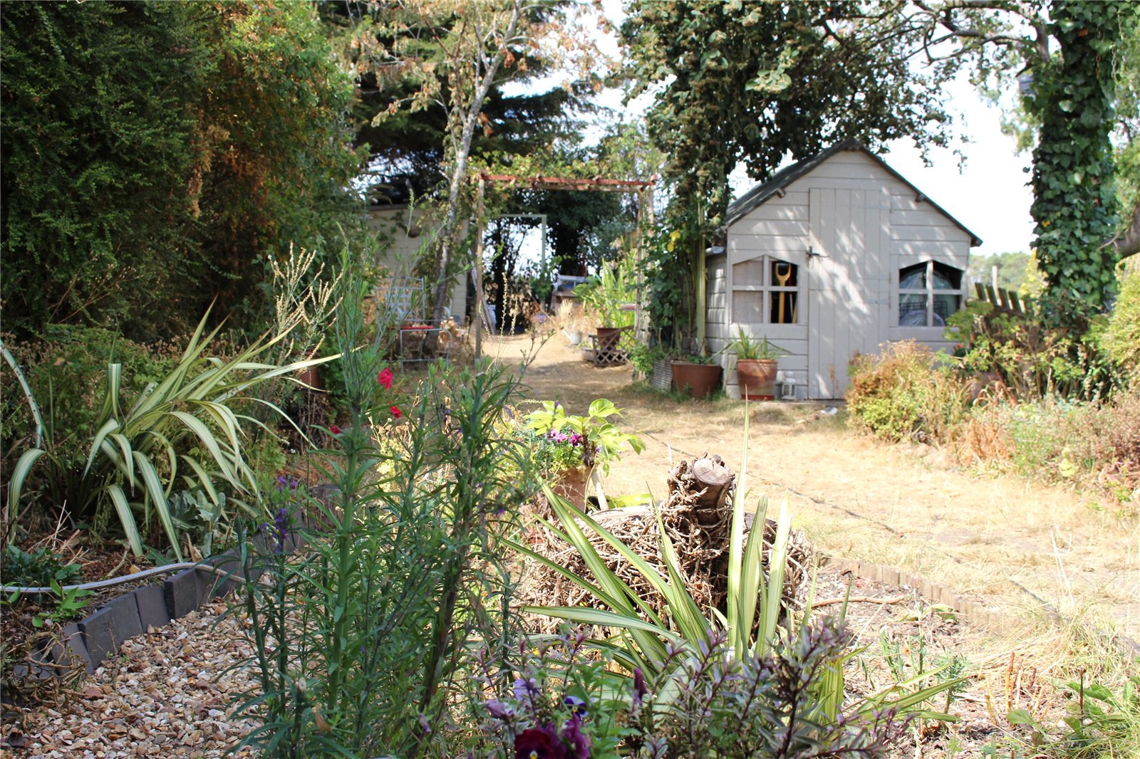 Photo 25