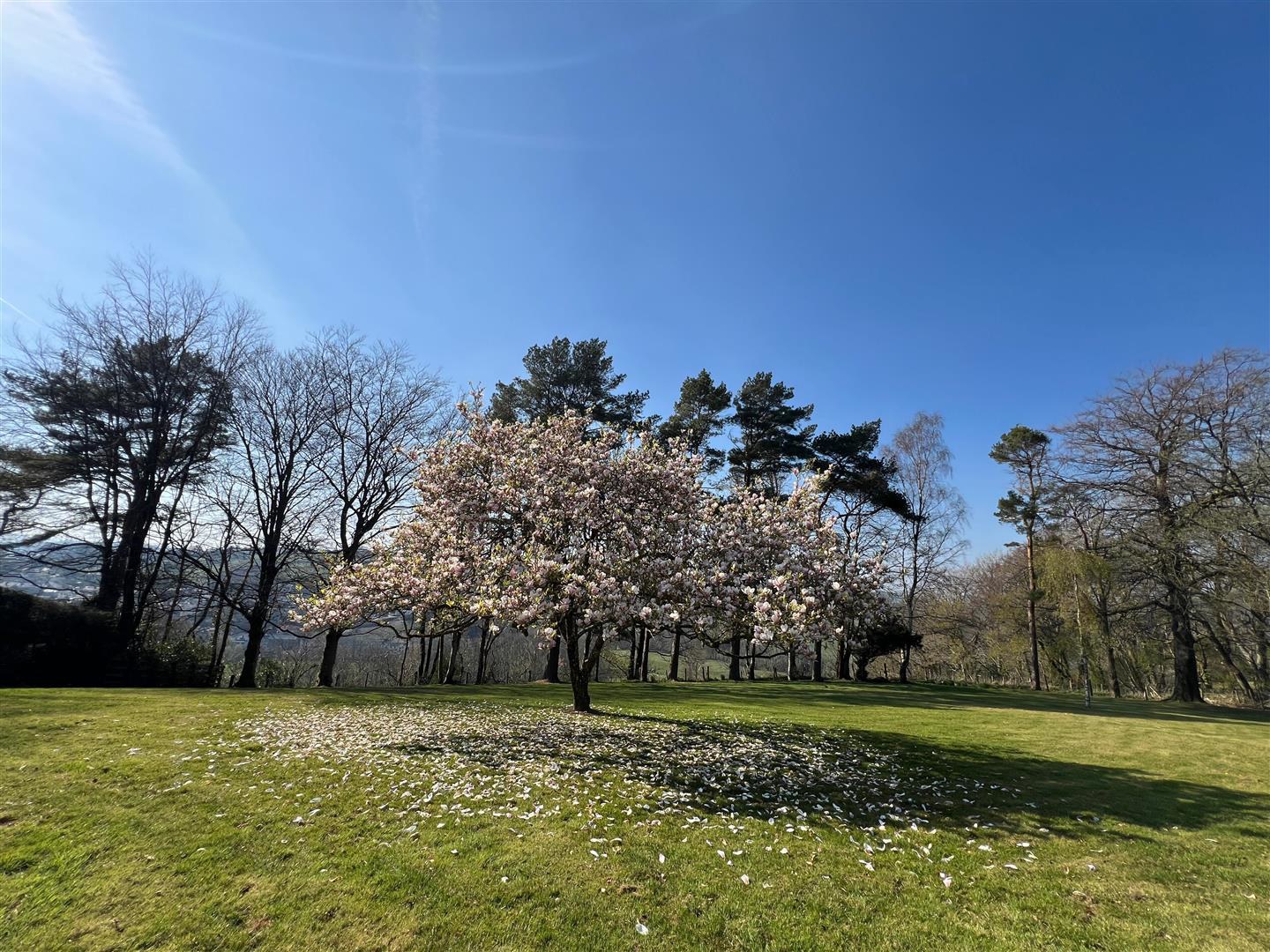 Dol Llan Road, Llandysul, photo 2