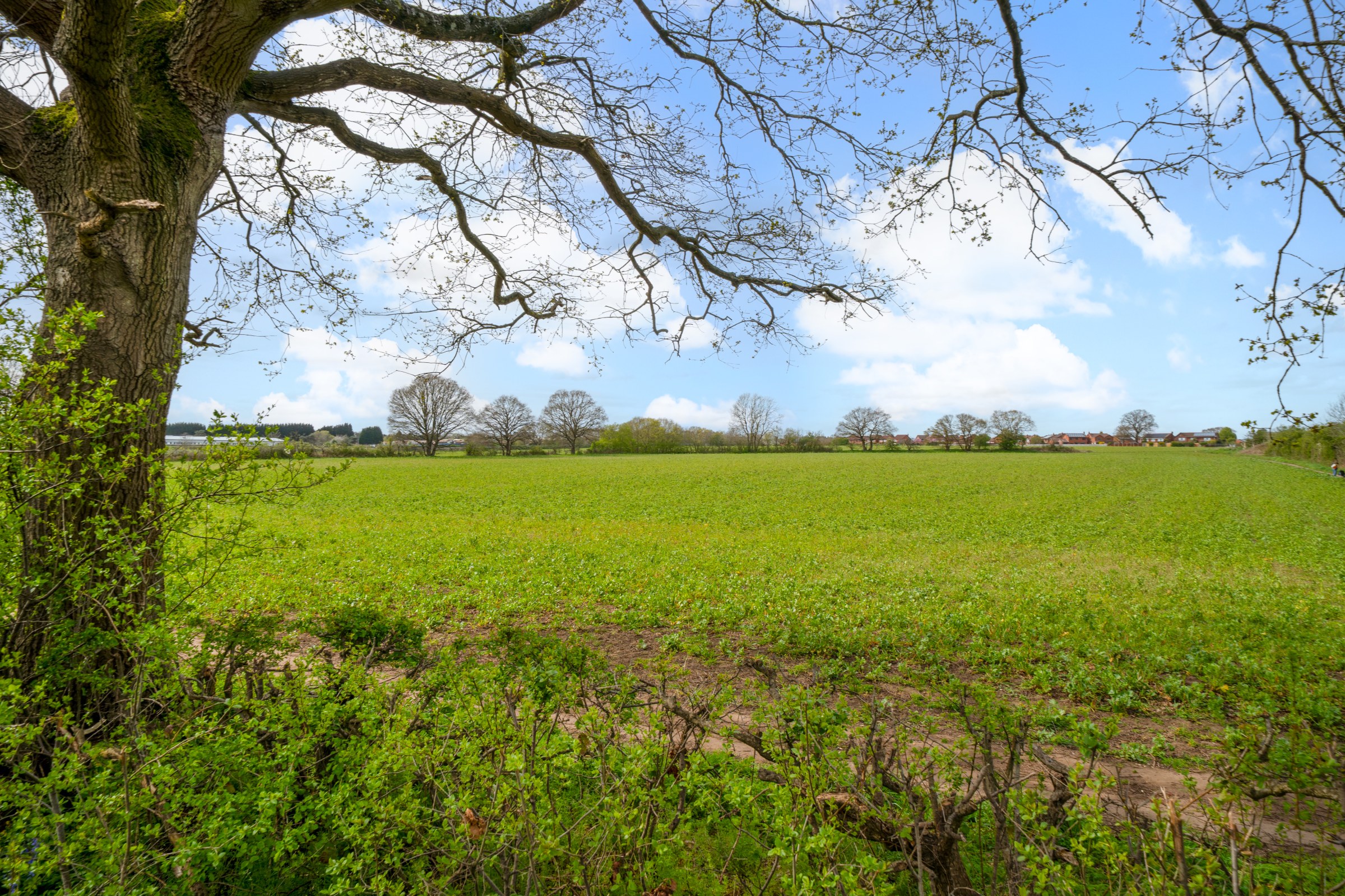 Stanklyn Lane, Summerfield, DY10, photo 23