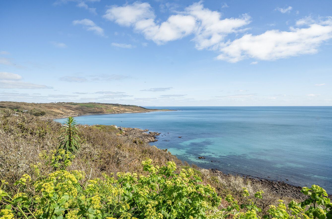 Coverack, The Lizard, photo 17