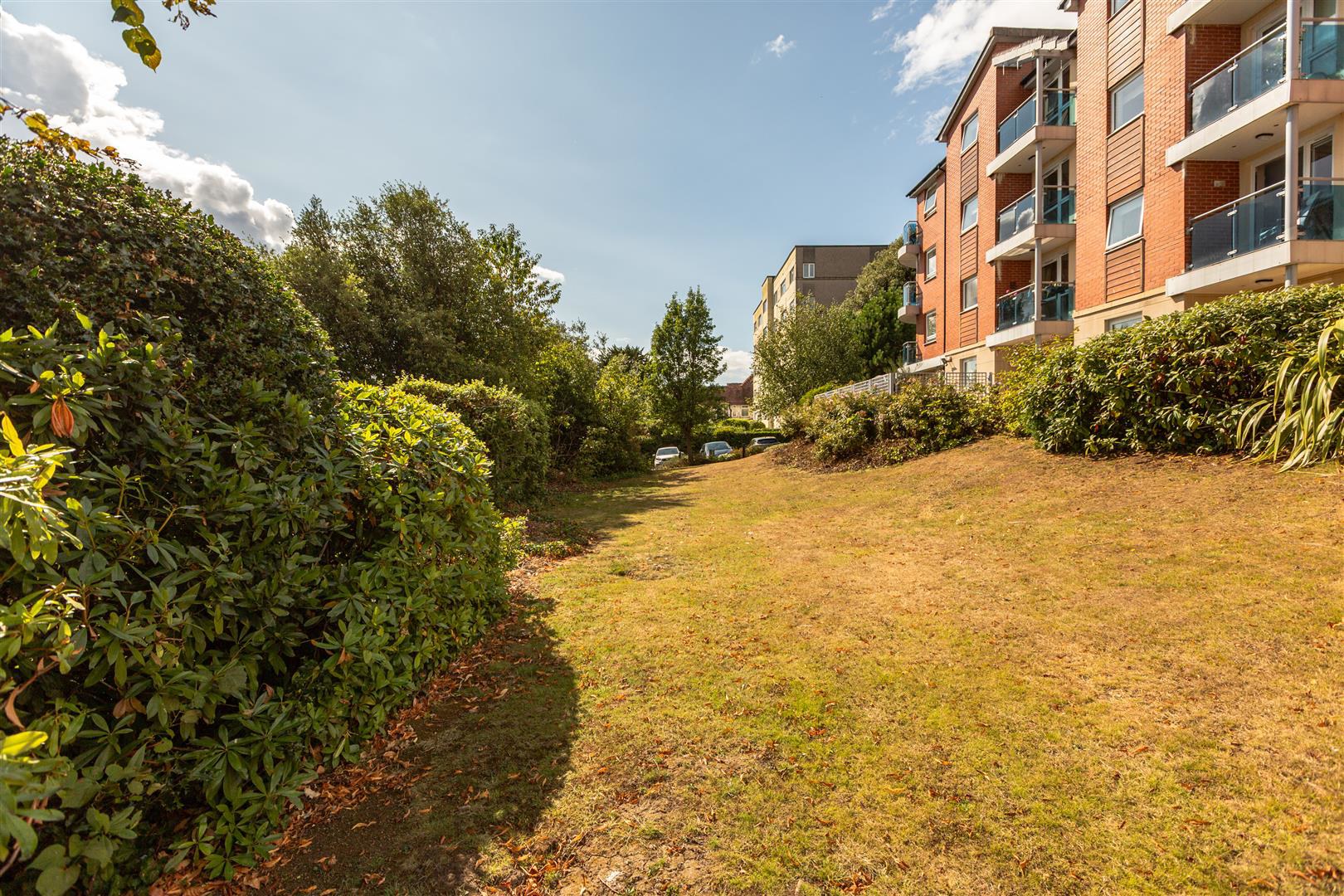 Pantygwydr Court, Sketty Road, Swansea, photo 14